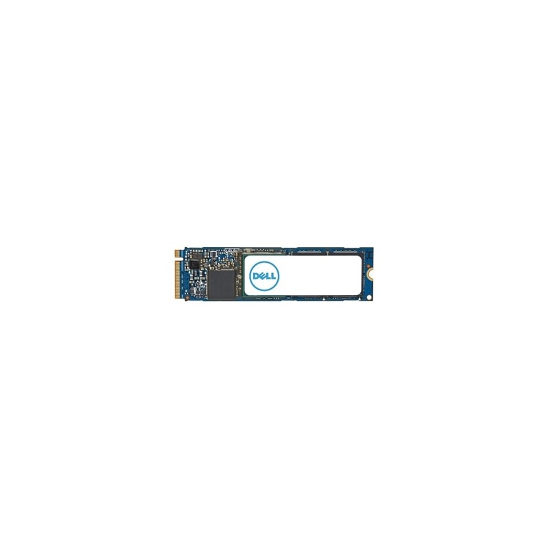 Dell Internal Solid State Drive